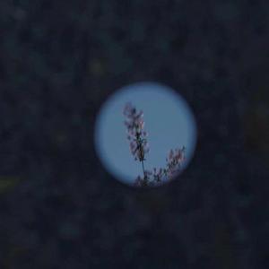 日本乱人伦片中文二区
